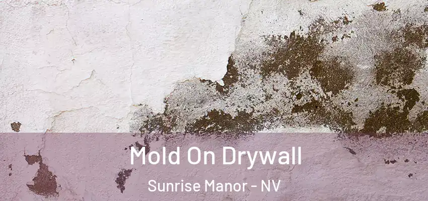 Mold On Drywall Sunrise Manor - NV