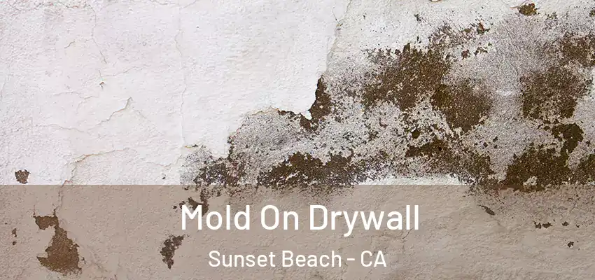  Mold On Drywall Sunset Beach - CA