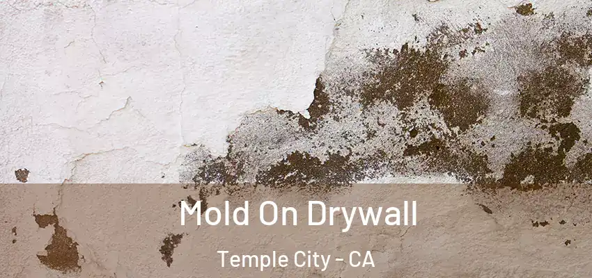 Mold On Drywall Temple City - CA