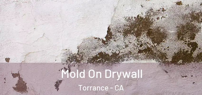  Mold On Drywall Torrance - CA