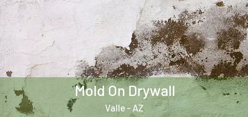  Mold On Drywall Valle - AZ
