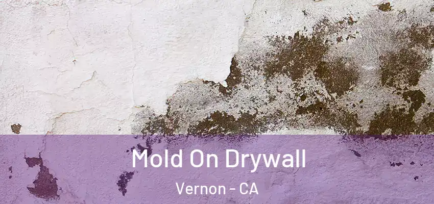  Mold On Drywall Vernon - CA
