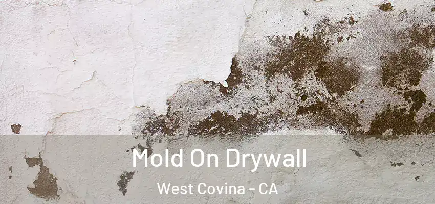  Mold On Drywall West Covina - CA