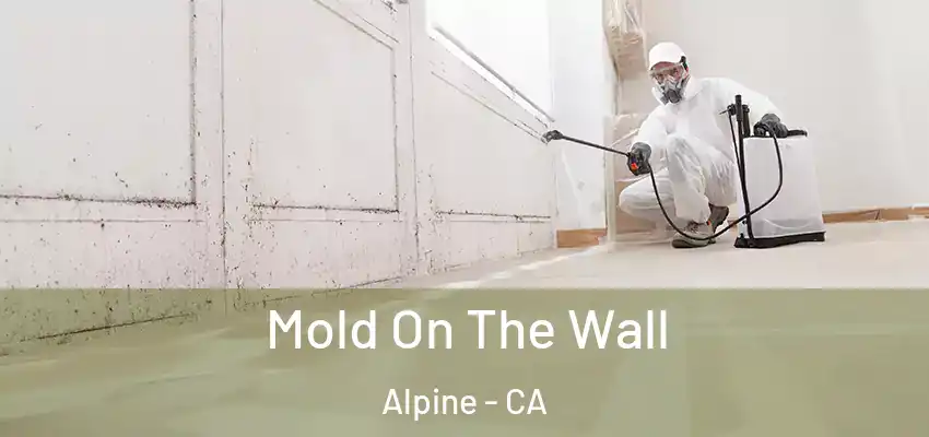  Mold On The Wall Alpine - CA