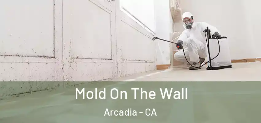  Mold On The Wall Arcadia - CA