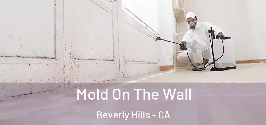  Mold On The Wall Beverly Hills - CA