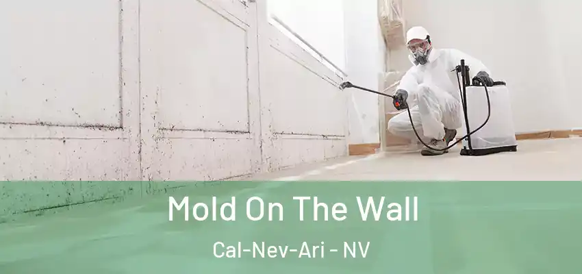  Mold On The Wall Cal-Nev-Ari - NV
