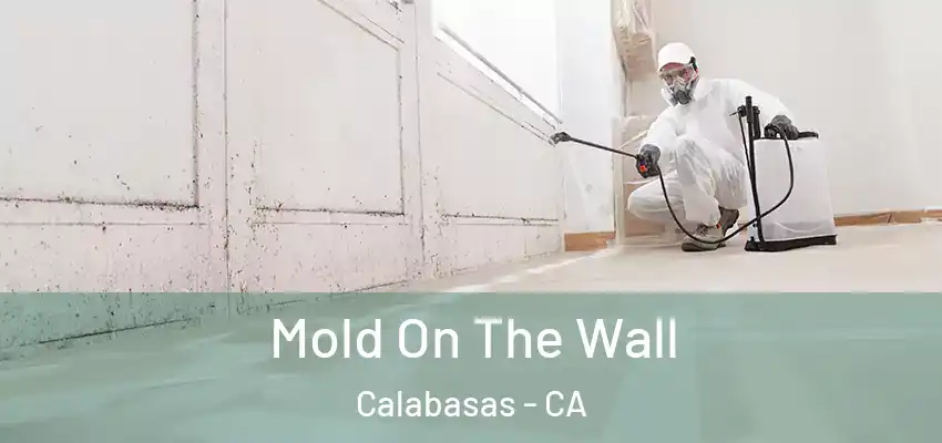  Mold On The Wall Calabasas - CA