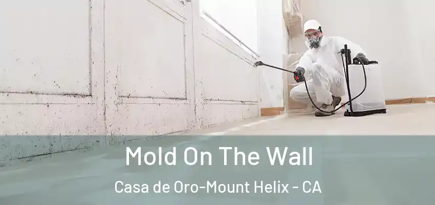  Mold On The Wall Casa de Oro-Mount Helix - CA