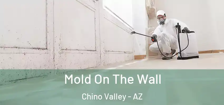  Mold On The Wall Chino Valley - AZ