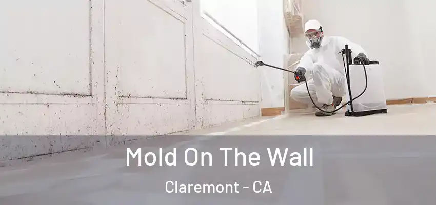 Mold On The Wall Claremont - CA