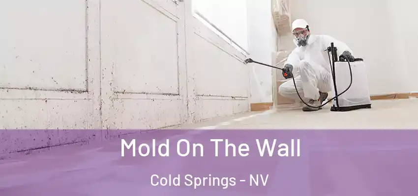  Mold On The Wall Cold Springs - NV