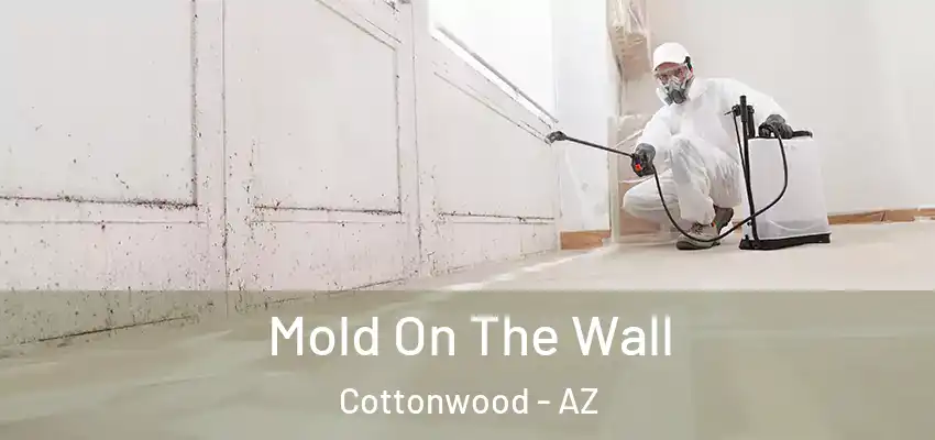  Mold On The Wall Cottonwood - AZ