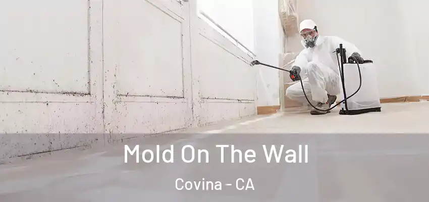  Mold On The Wall Covina - CA