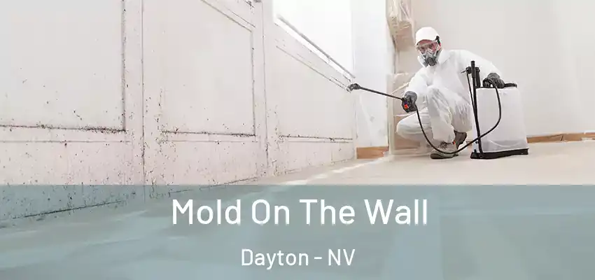 Mold On The Wall Dayton - NV