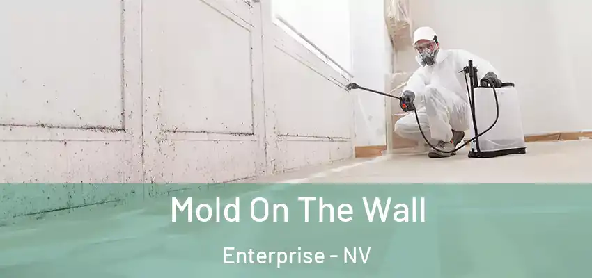 Mold On The Wall Enterprise - NV