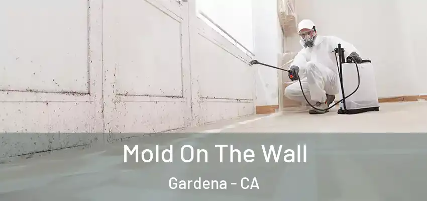 Mold On The Wall Gardena - CA