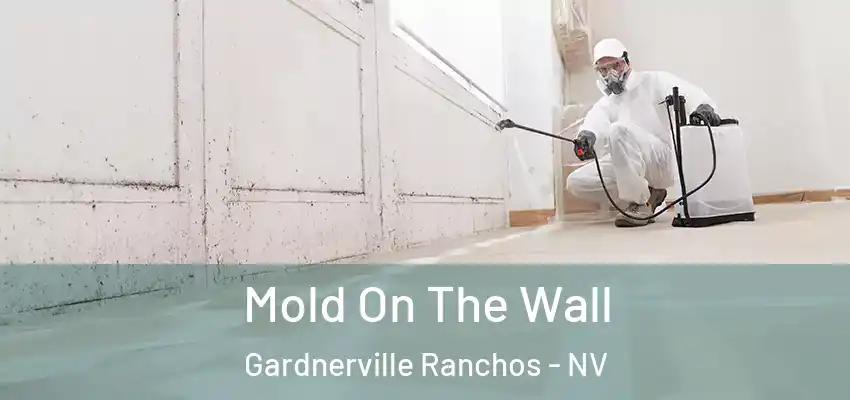  Mold On The Wall Gardnerville Ranchos - NV