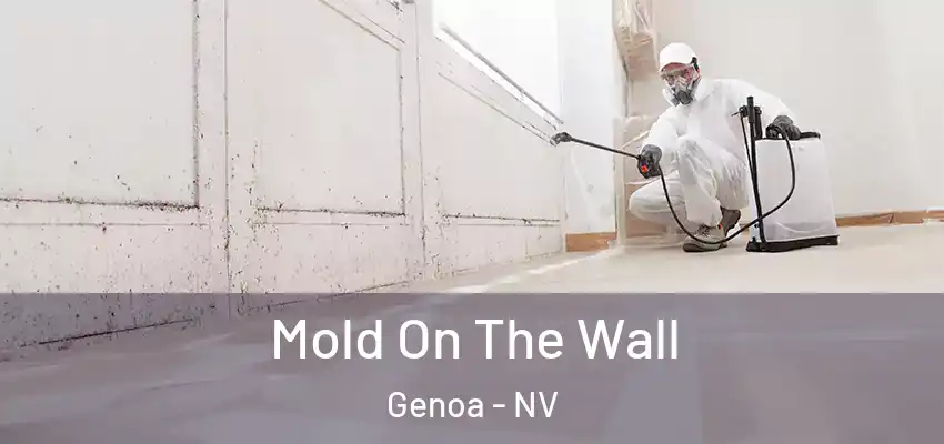 Mold On The Wall Genoa - NV