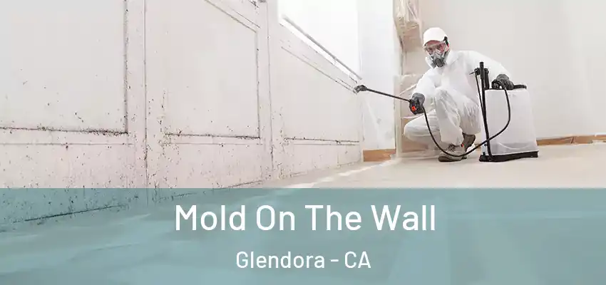  Mold On The Wall Glendora - CA