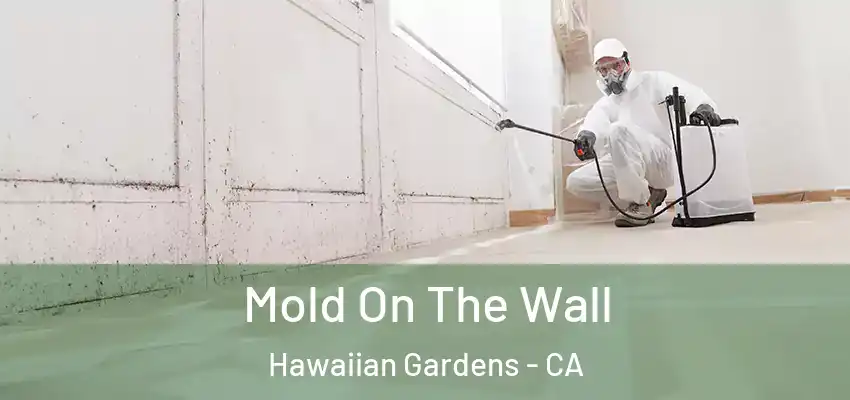  Mold On The Wall Hawaiian Gardens - CA