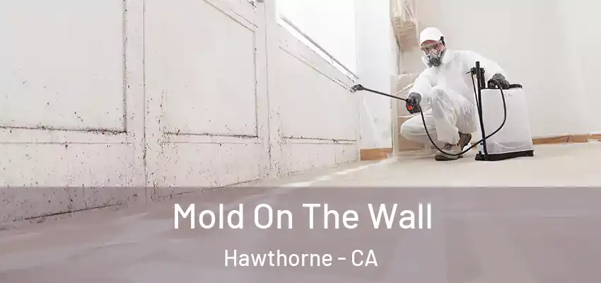  Mold On The Wall Hawthorne - CA
