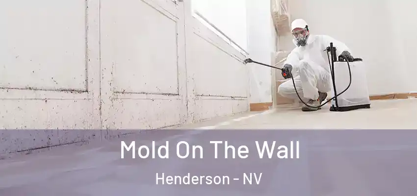  Mold On The Wall Henderson - NV