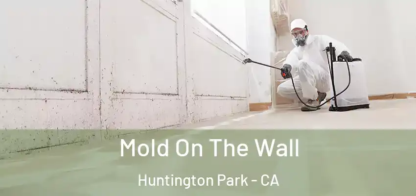  Mold On The Wall Huntington Park - CA