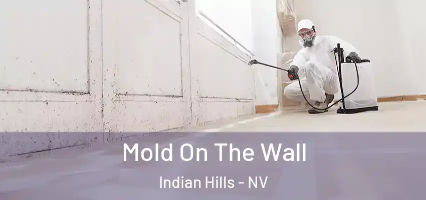  Mold On The Wall Indian Hills - NV