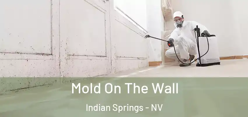  Mold On The Wall Indian Springs - NV