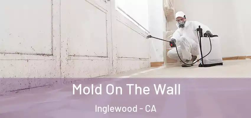  Mold On The Wall Inglewood - CA
