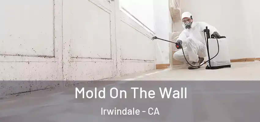 Mold On The Wall Irwindale - CA