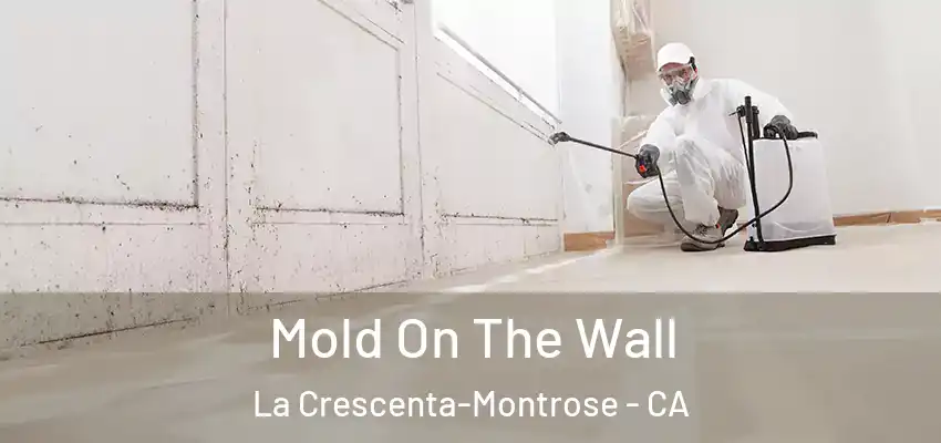  Mold On The Wall La Crescenta-Montrose - CA