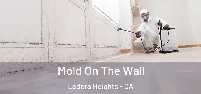  Mold On The Wall Ladera Heights - CA
