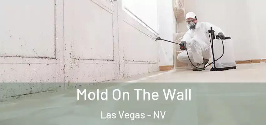 Mold On The Wall Las Vegas - NV
