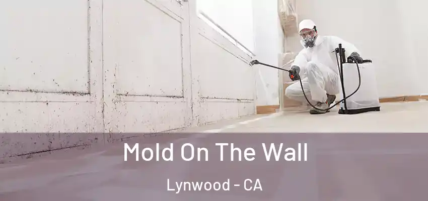  Mold On The Wall Lynwood - CA