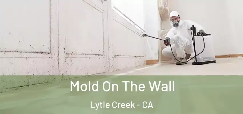 Mold On The Wall Lytle Creek - CA
