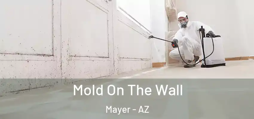  Mold On The Wall Mayer - AZ