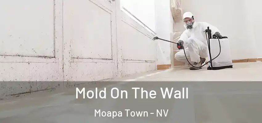  Mold On The Wall Moapa Town - NV