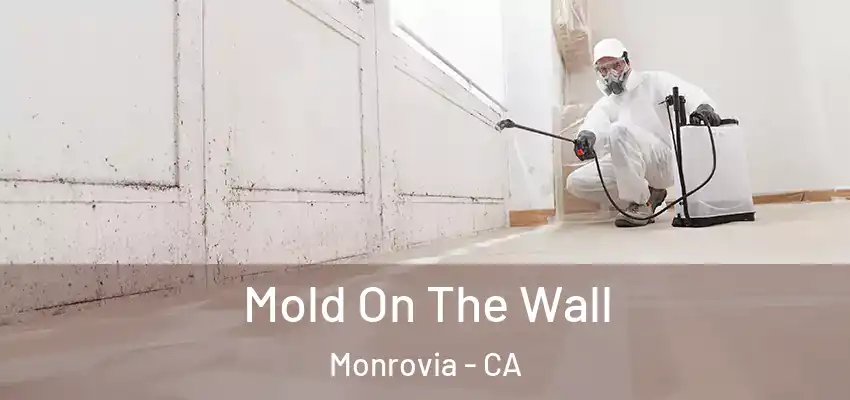  Mold On The Wall Monrovia - CA