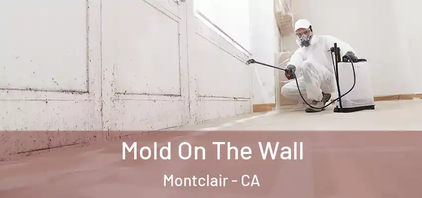 Mold On The Wall Montclair - CA