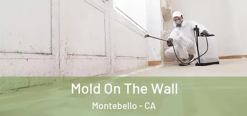  Mold On The Wall Montebello - CA