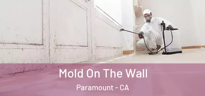  Mold On The Wall Paramount - CA