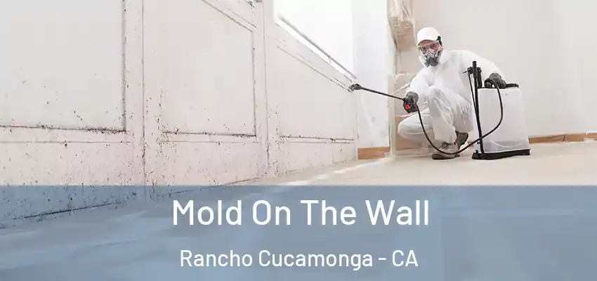  Mold On The Wall Rancho Cucamonga - CA