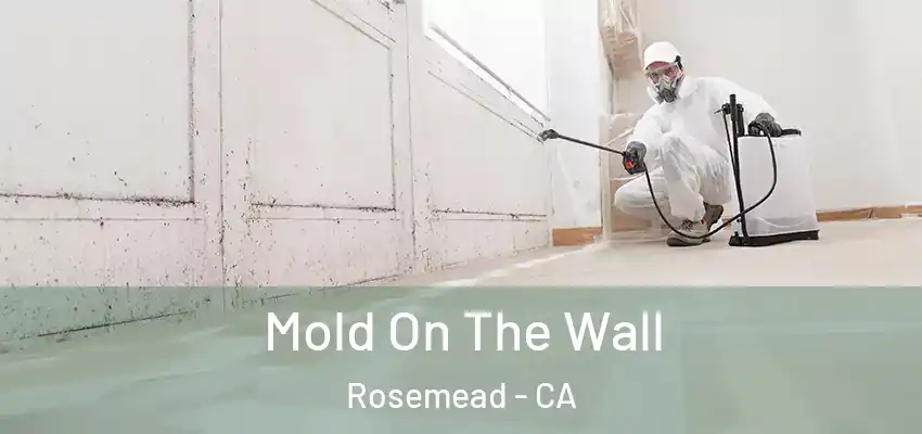 Mold On The Wall Rosemead - CA