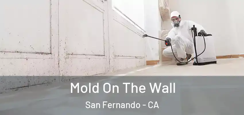  Mold On The Wall San Fernando - CA