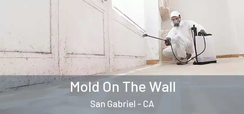 Mold On The Wall San Gabriel - CA