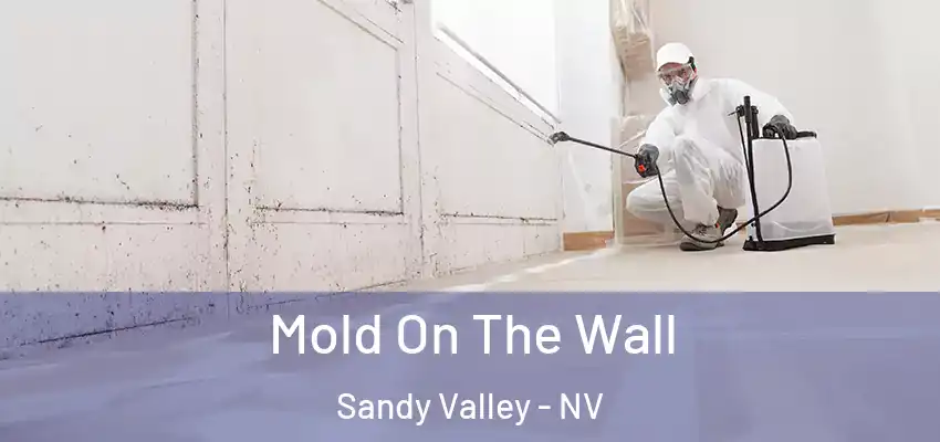  Mold On The Wall Sandy Valley - NV