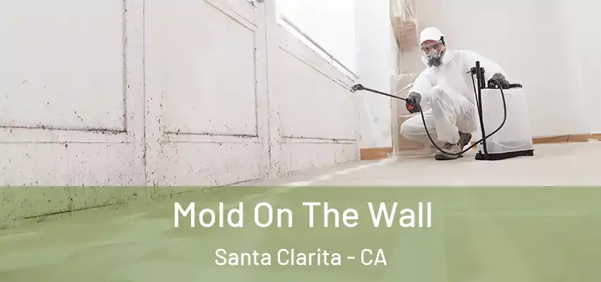  Mold On The Wall Santa Clarita - CA