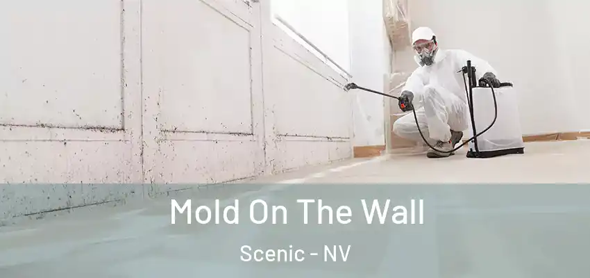  Mold On The Wall Scenic - NV